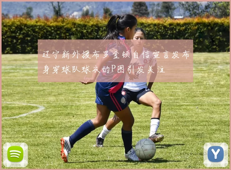 辽宁新外援布罗金顿自信宣言发布身穿球队球衣的P图引发关注